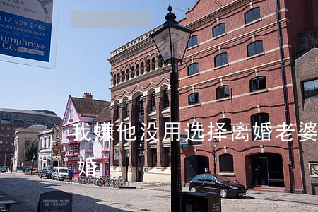 我嫌他没用选择离婚(老婆嫌我没钱要和我离婚)