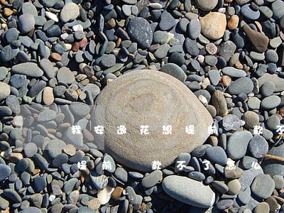 我安逸花想提前還款不能還怎么辦-安逸花提前還款不了怎么辦