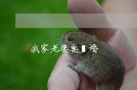 我家老婆要離婚