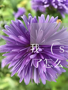 我實(shí)在沒錢還網(wǎng)貸了怎么辦-我實(shí)在沒錢還網(wǎng)貸了怎么辦啊