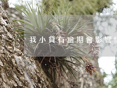 我小貸有逾期會影響借唄嗎