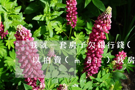 我就一套房子欠銀行錢(qián)法院可以拍賣(mài)我房子嗎(欠款人有一套房子能拍賣(mài)嗎?)