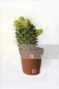 我工行信用卡逾期快3年了怎么辦-我工行信用卡逾期快3年了怎么辦呢