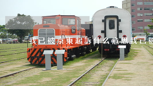 我已被京東起訴什么意思（我已被京東起訴）