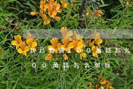 我已負債200萬該怎么辦呀-我已負債200萬該怎么辦呀