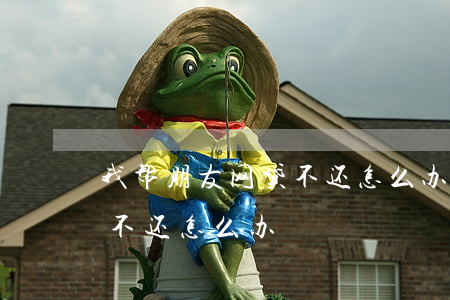 我帮朋友网贷不还怎么办(我帮朋友网贷朋友不还怎么办)