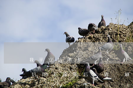 我平安信用卡錢還了為什么顯示沒有還（平安信用卡逾期后還清還刷不了）