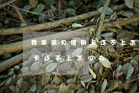 我弟弟欠信用卡还不上怎么办(我弟弟欠信用卡还不上怎么办)
