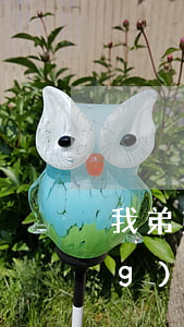 我弟弟欠網(wǎng)貸(弟弟網(wǎng)貸逾期)