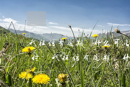 我征信有逾期為什么可以開(kāi)通分付-我征信有逾期為什么可以開(kāi)通分付呢