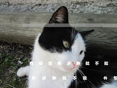 我征信有逾期能不能進外包公司工作（我征信有逾期能不能進外包公司）