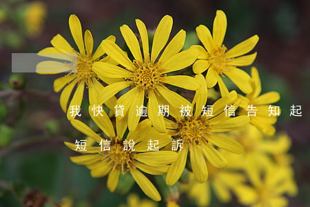 我快貸逾期被短信告知起訴(快貸發(fā)短信說起訴)