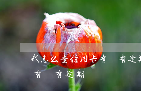 我怎么查信用卡有沒有逾期(在哪里查信用卡有沒有逾期)