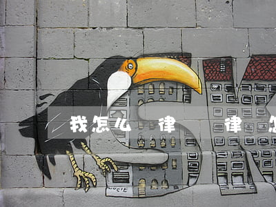 我怎么請律師(請律師怎么說)