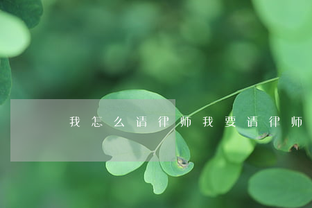 我怎么请律师(我要请律师怎么请)