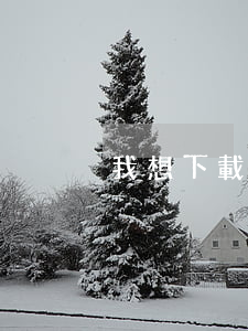 我想下載萌萌魚（魚萌萌借款逾期）