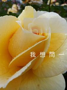 我想問一下律師事務所(找律律師事務所)