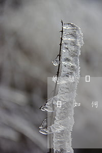 我想問問打正規(guī)的借條怎么打(借條如何打)