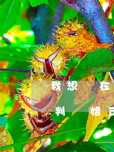 我想問在中山法院起訴離婚可以嗎(第一次沒判離婚,可以上訴中級(jí)人民法院嗎)