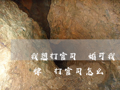 我想打官司離婚可我沒錢怎么辦(離婚沒錢請律師打官司怎么辦)