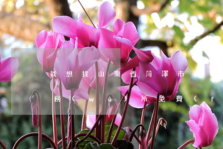 我想找山東省菏澤市的律師(山東菏澤律師事務(wù)所免費(fèi)咨詢電話)