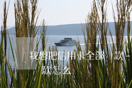 我想把信用卡全部還款-我想把信用卡全部還款怎么還