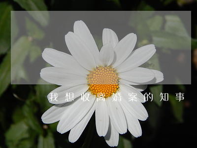 我想收离婚案的知事