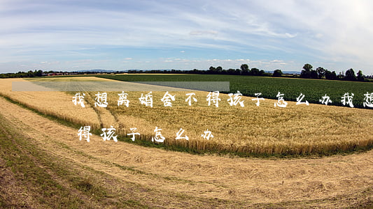 我想离婚舍不得孩子怎么办(我想离婚又舍不得孩子怎么办)