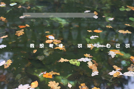 我想考律師可以嗎(自己可以考律師證嗎)