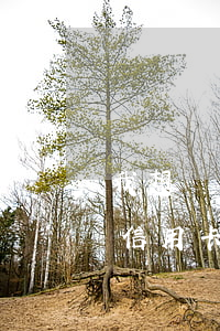 我想舉報一個人信用卡不還(我想匿名舉報欠信用卡的人)
