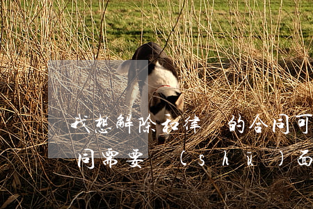 我想解除和律師的合同可以嗎(和律師解除合同需要書(shū)面解除嗎)