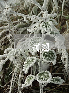 我想請個律師怎么收費(請一位律師怎么收費)