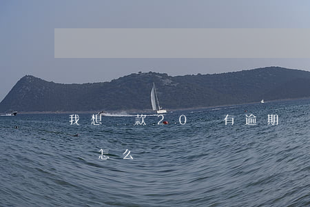 我想貸款20萬有逾期(貸款逾期幾十萬沒錢還怎么辦)