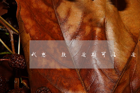 我想貸款還逾期可以嗎(逾期貸款怎么還)