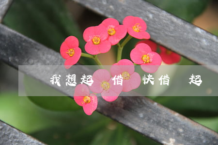 我想起訴借錢快 借錢起訴法院流程