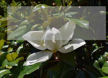 我想起訴別人 請(qǐng)問(wèn)訴狀怎么寫(xiě)(我想要寫(xiě)訴狀怎么寫(xiě))