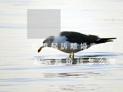 我想起訴離婚應(yīng)該怎么辦(我想起訴離婚該怎么做)