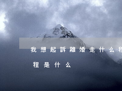 我想起訴離婚走什么程序(想要起訴離婚的流程是什么)