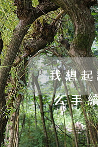 我想起訴離婚需要什么(我想起訴離婚需要什么手續(xù))