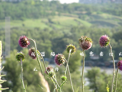 我想起訴離婚需要什么(自己起訴離婚需要什么證件)