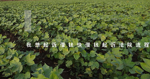 我想起诉借钱快 借钱起诉法院流程