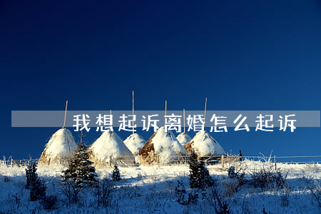 我想起诉离婚怎么起诉
