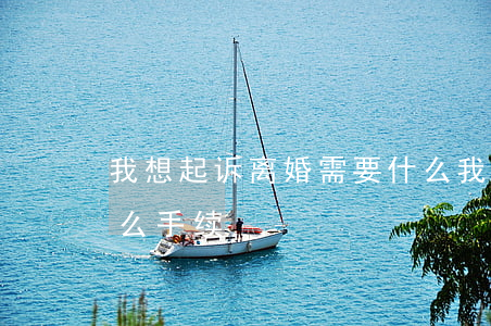 我想起诉离婚需要什么(我想起诉离婚需要什么手续)