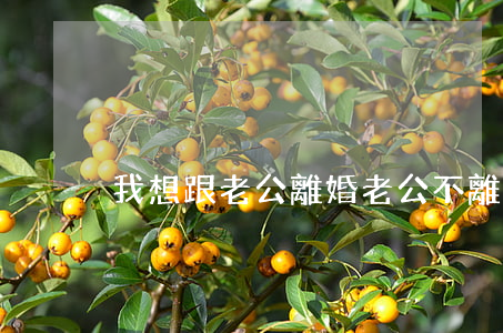 我想跟老公離婚老公不離怎么辦