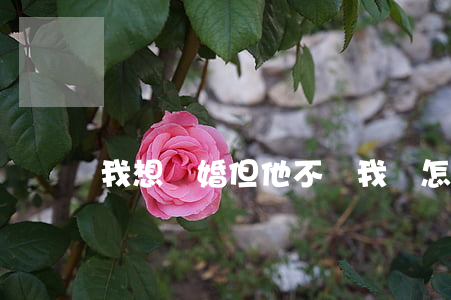 我想離婚但他不離我該怎么辦