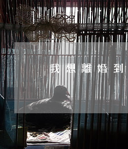 我想離婚到哪里起訴(想離婚怎么起訴)