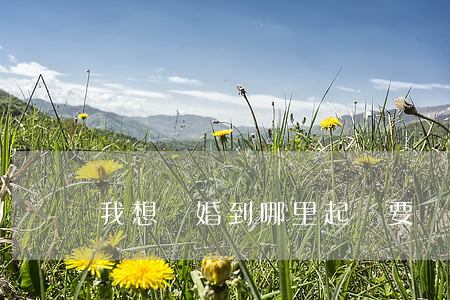我想離婚到哪里起訴(要離婚了,到哪里去起訴?)