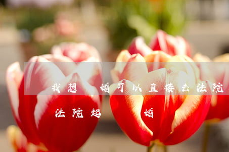 我想離婚可以直接去法院起訴嗎(可以直接去法院起訴離婚嗎?)