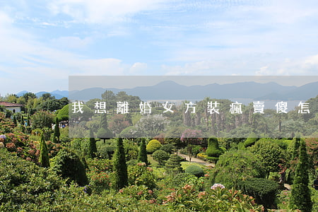 我想離婚女方裝瘋賣傻怎么辦