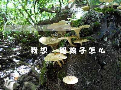 我想離婚孩子怎么辦